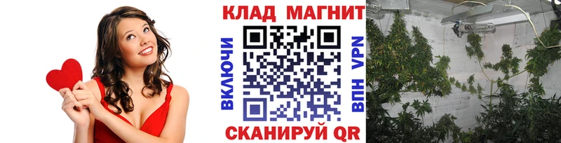 Купить закладку Гашиш  А ПВП  Меф мяу мяу  Кирс