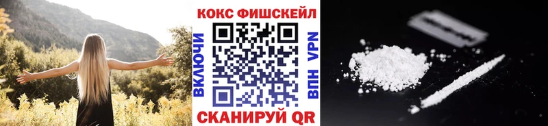 COCAIN Fish Scale  Купить где  Кирс 