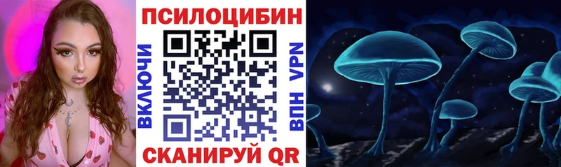 Купить где  Кирс  Галлюциногенные грибы Magic Shrooms 